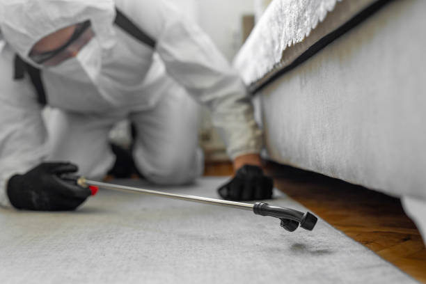 Professional Mosquito Control technician working in Chatfield, MN