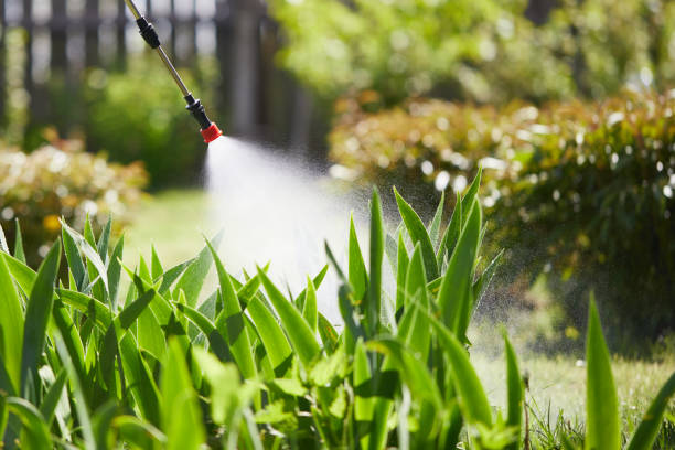 24/7 Emergency Mosquito Control experts in Chatfield, MN